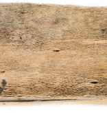 NewCal Pets NEWCAL NC-CB28 Écorce de cactus apx 15-17"