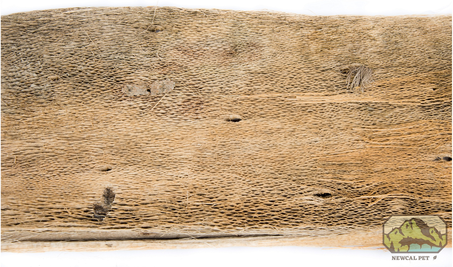 NewCal Pets NEWCAL NC-CB28 Écorce de cactus apx 15-17"