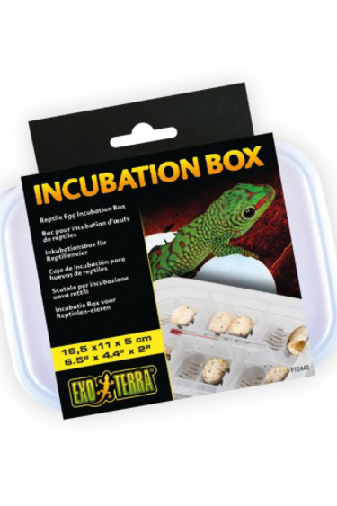 Exoterra Incubation tray