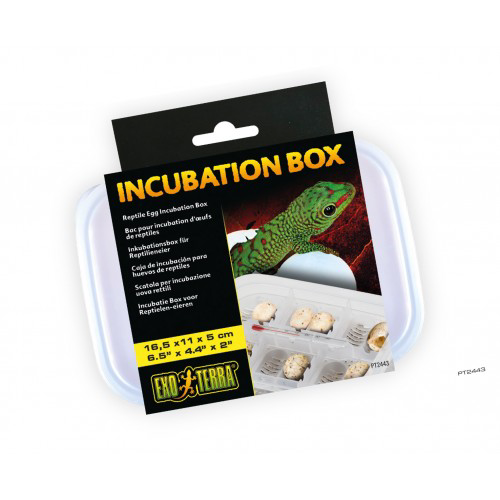 Exoterra Incubation tray