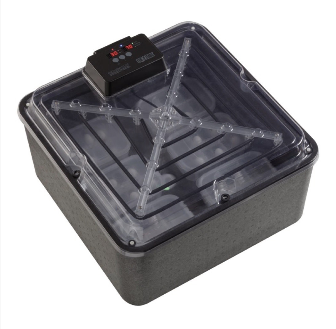 Exoterra EXO TERRA PT2444 Incubateur de précision Pro