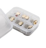 Exoterra Incubation tray