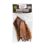 Jurassic Reptile Jurassic Reptile Feuilles de Mangue-Mango Leaves