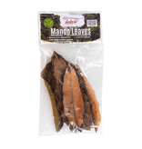 Jurassic Reptile Mango Leaves