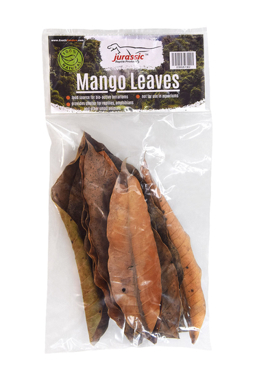 Jurassic Reptile Jurassic Reptile Feuilles de Mangue-Mango Leaves