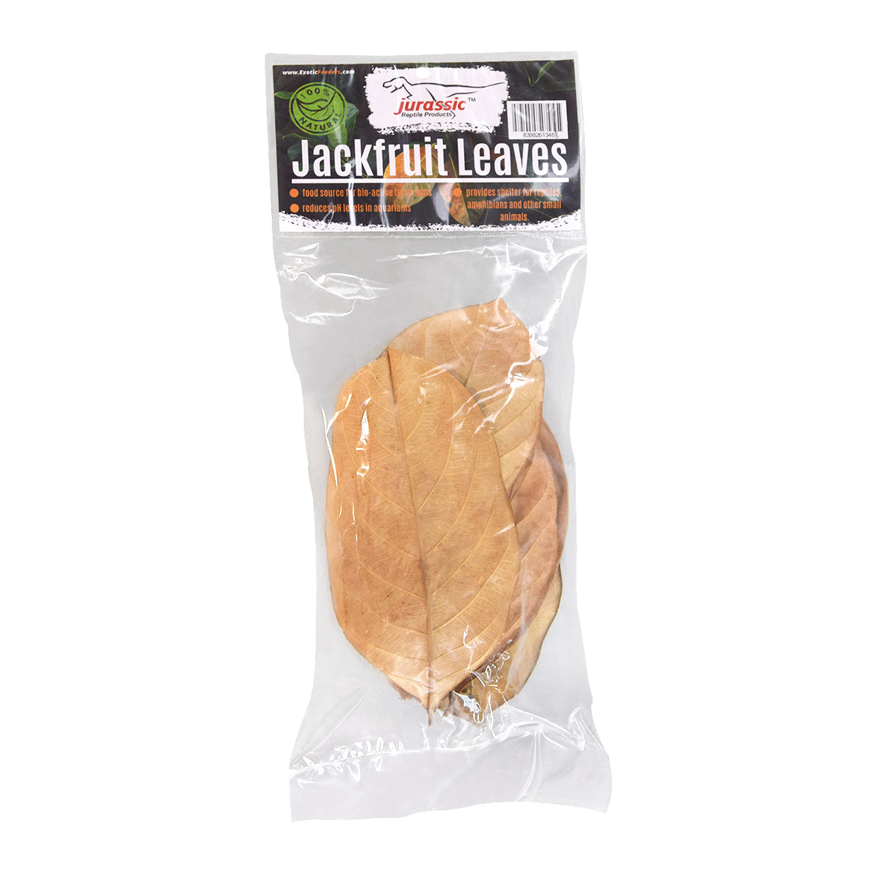 Jurassic Reptile Jackfruit Leaves