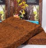 Fern Wood FERNWOOD Planche d'orchidée en bois de fougère, pq de deux