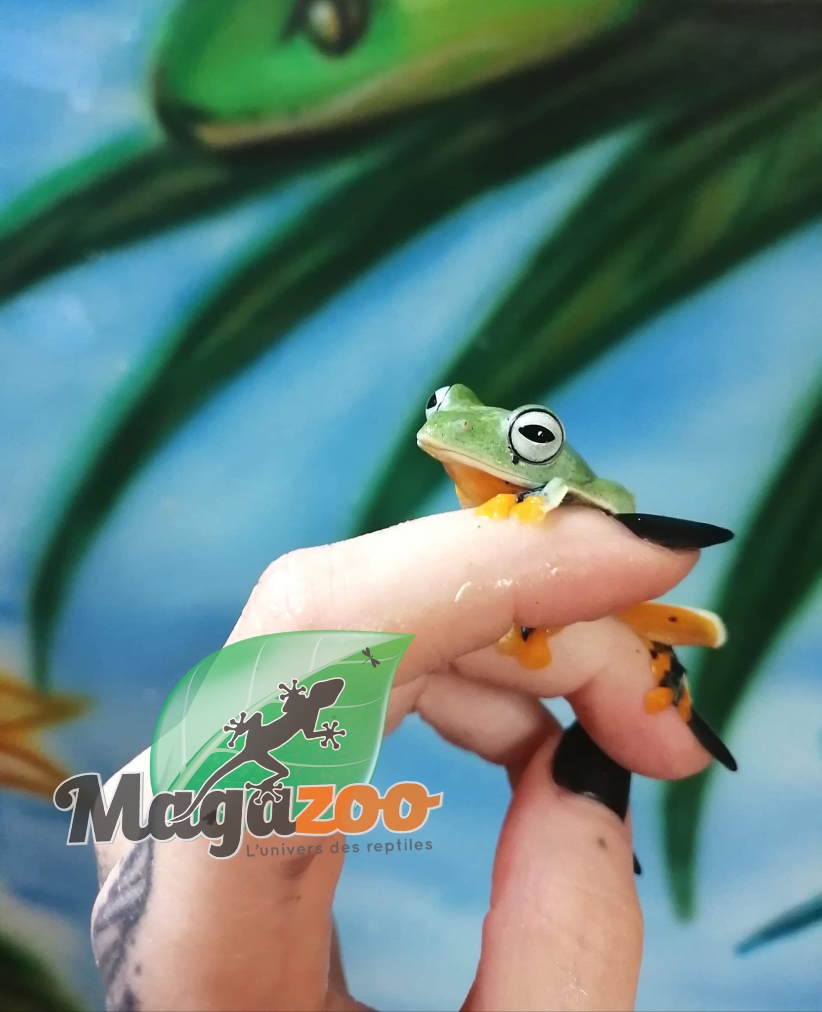 Magazoo Green flying frog