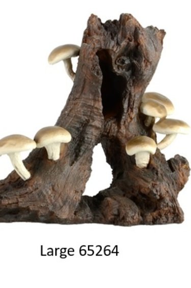 Treasures underwater UNDERWATER TREASURES Racine avec champignons