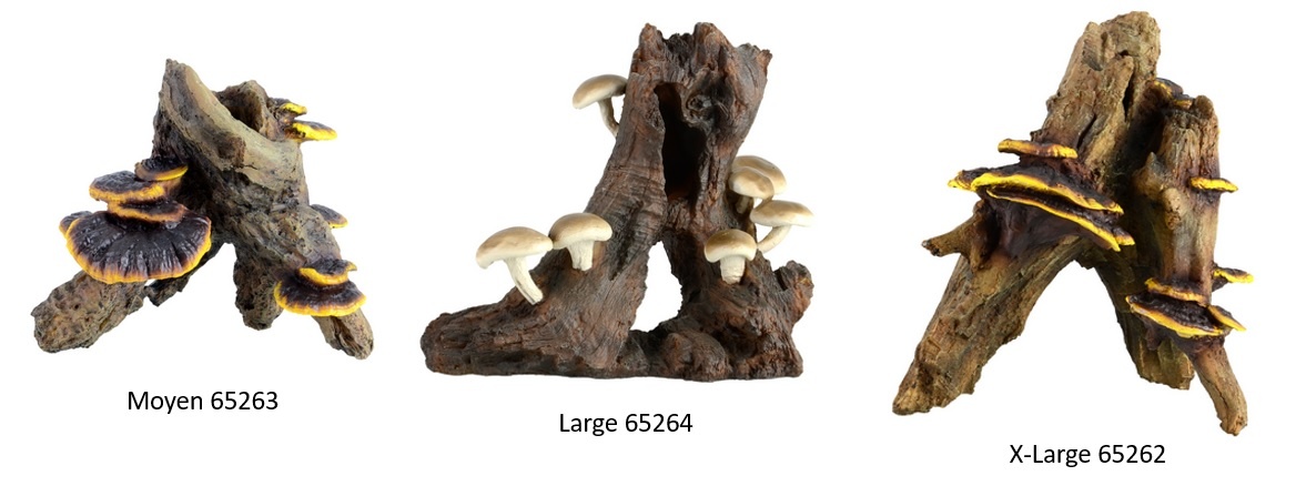 Treasures underwater Racine avec champignons - Root with mushroom
