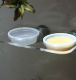 Pangea Large Acrylic Gecko Ledge (Magnetic)