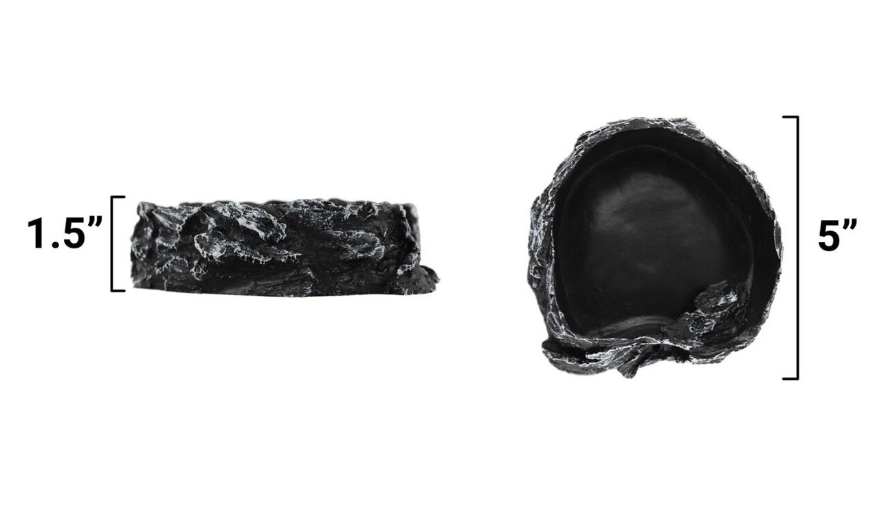 Pangea PANGEA NS-18 Bol en roche moyen