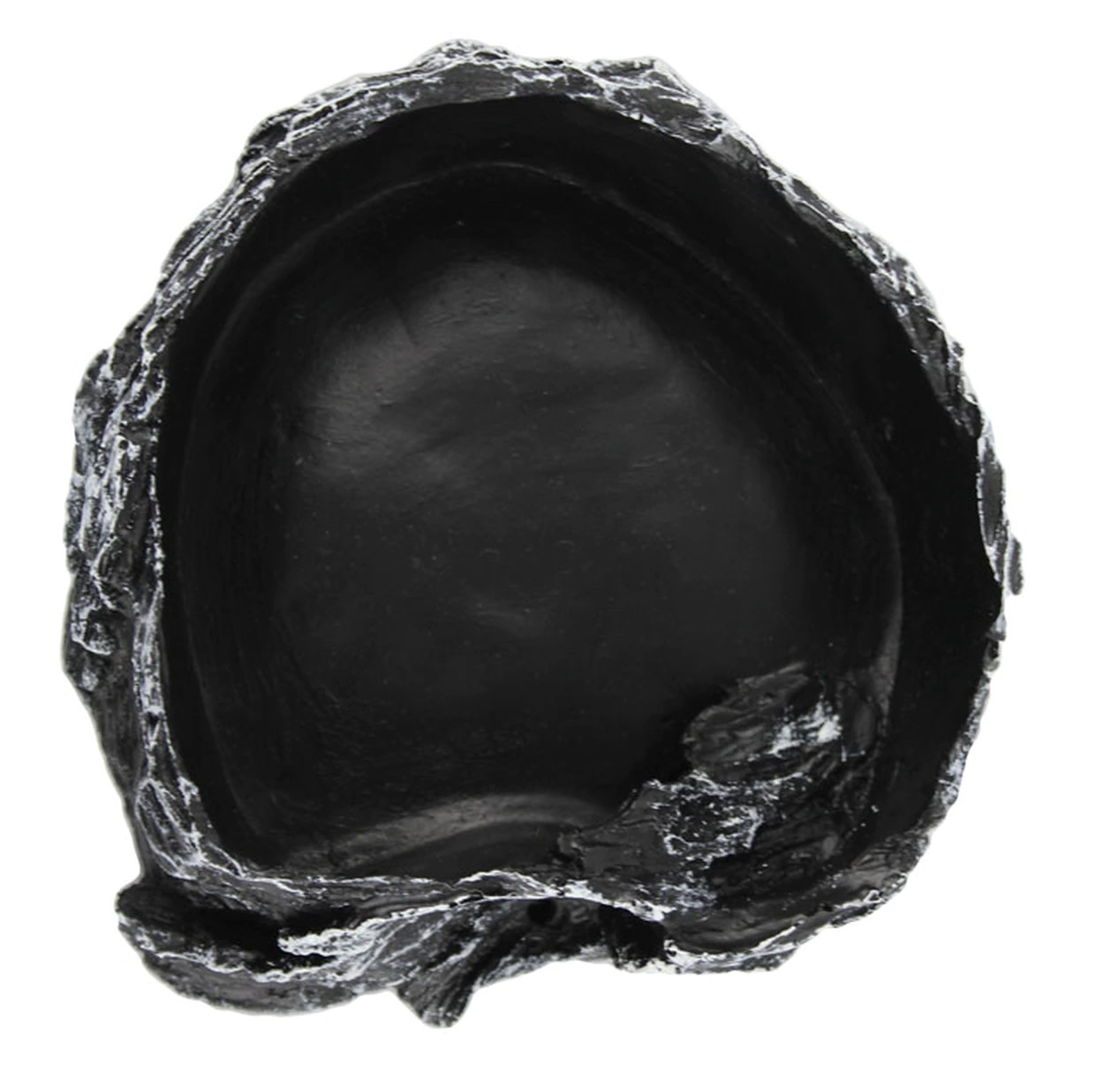 Pangea PANGEA NS-18 Bol en roche moyen