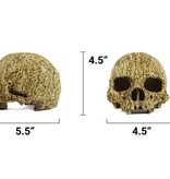 Pangea PANGEA NS-73 Grotte en crâne humain
