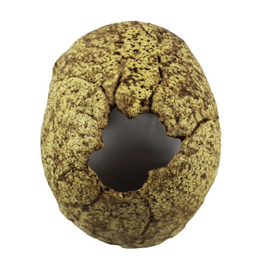 Pangea PANGEA NS-73 Grotte en crâne humain