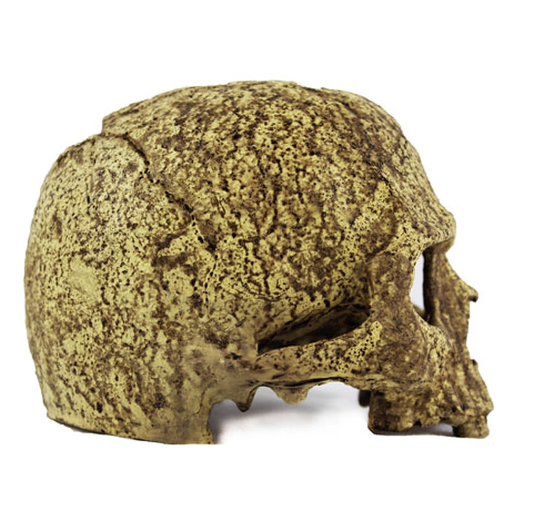 Pangea Grotte en crâne humain - Human Skull Cave