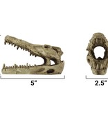 Pangea PANGEA NS-60 Beau crâne de crocodile