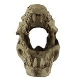 Pangea Crocodile Skull