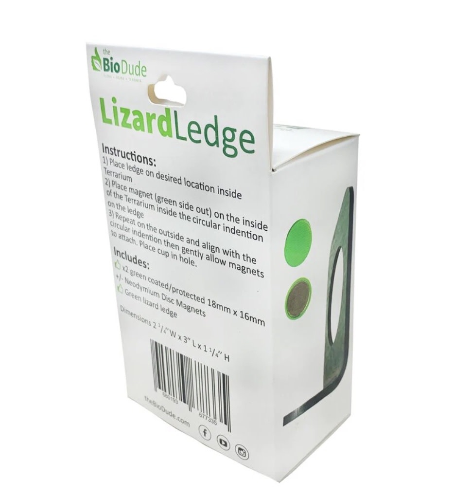 Bol d'alimentation magnétique 0.5 oz simple pour gecko - Magnetic Lizard Gecko Feeding Ledge .5oz Single