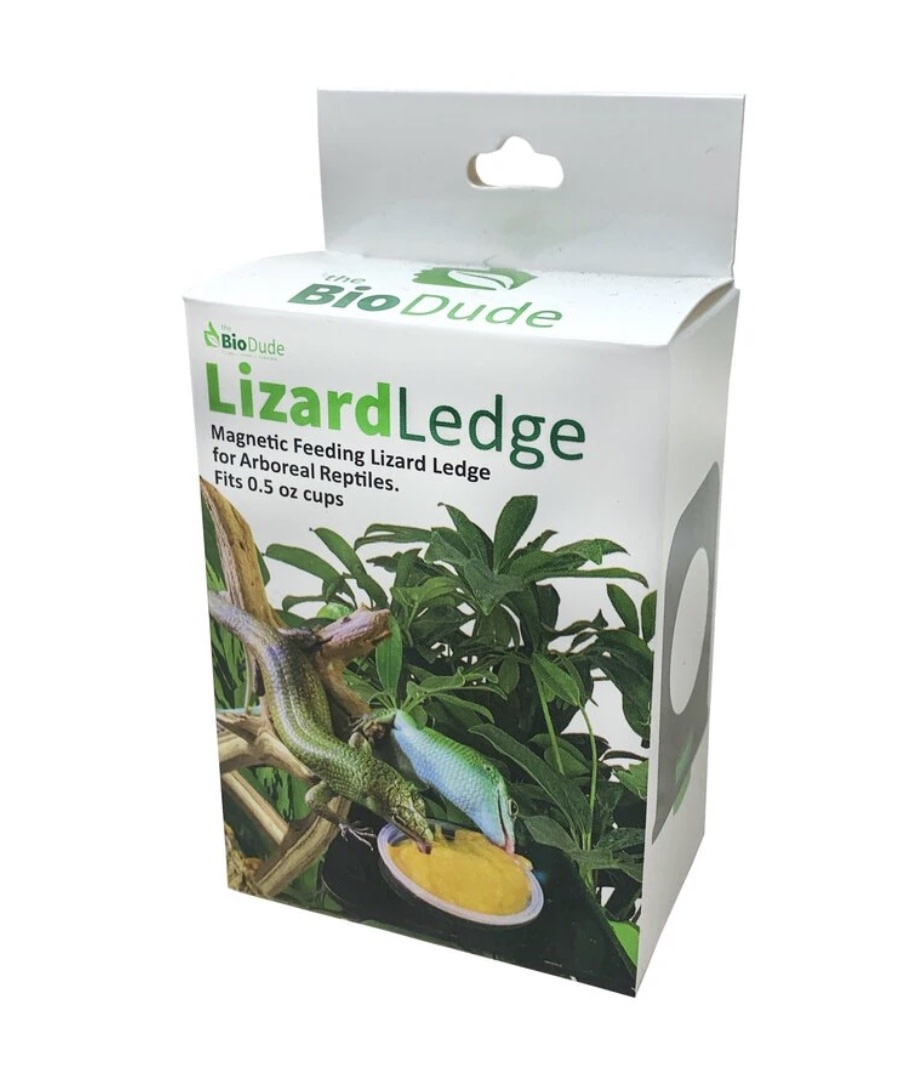 Bol d'alimentation magnétique 0.5 oz simple pour gecko - Magnetic Lizard Gecko Feeding Ledge .5oz Single