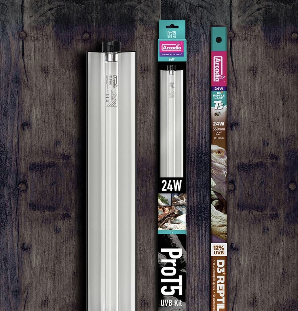 Arcadia ARCADIA Ensemble PRO T5 Ensemble UVB 12% lampe de désert