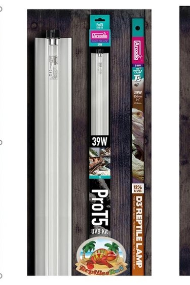 Arcadia ARCADIA Ensemble PRO T5 Ensemble UVB 12% lampe de désert