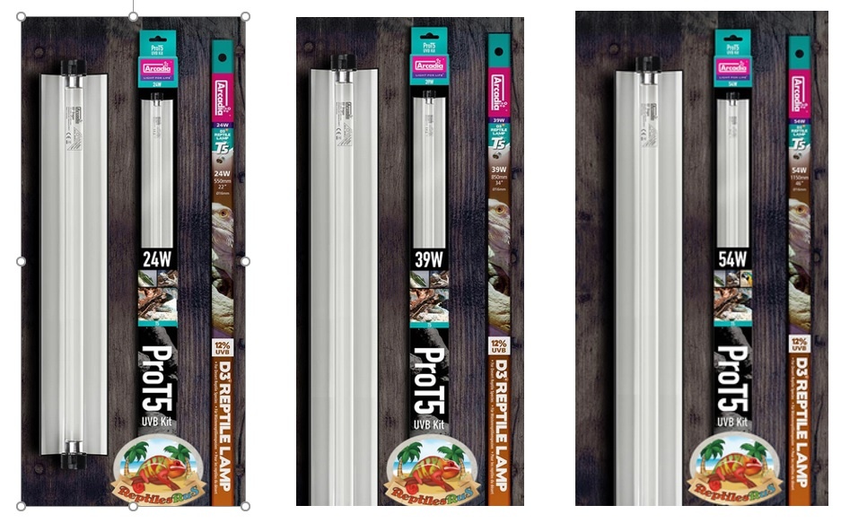 Arcadia ARCADIA Ensemble PRO T5 Ensemble UVB 12% lampe de désert