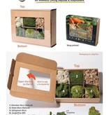 Galapagos GALAPAGOS GA-05350 Ensemble de départ terrarium humide