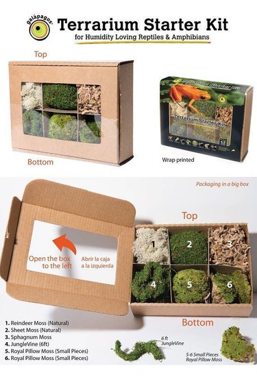 Galapagos GALAPAGOS GA-05350 Ensemble de départ terrarium humide