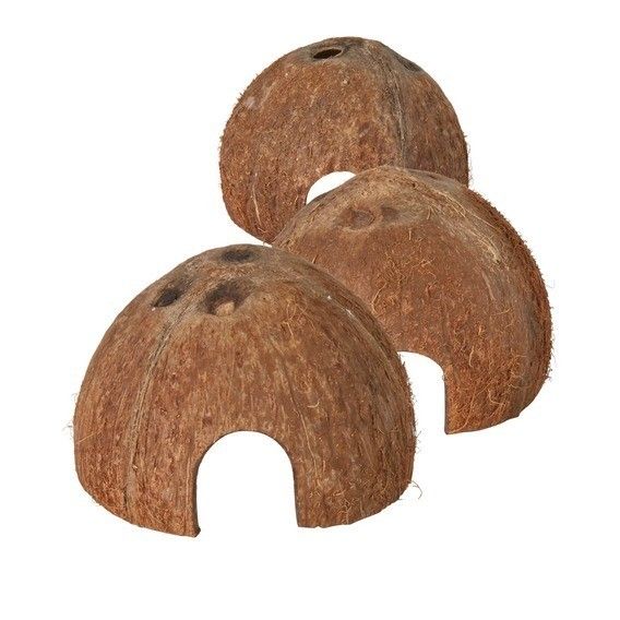 NewCal Pets Cachette noix de coco/Coconut Hide