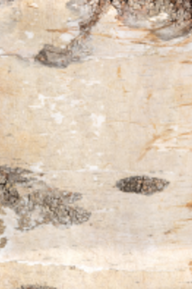 NewCal Pets NEWCAL Feuille d'écorde de bouleau