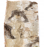 NewCal Pets Birch Bark Sheet