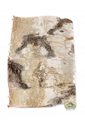 NewCal Pets Birch Bark Sheet