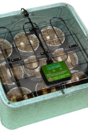 Zoomed ZOO MED RI-10 Incubateur digital pour oeufs "Reptibator"