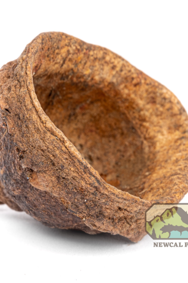 NewCal Pets NEWCAL Cosse de singe 3-4 po NC-MMPD