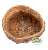 NewCal Pets NEWCAL Cosse de singe 3-4 po NC-MMPD