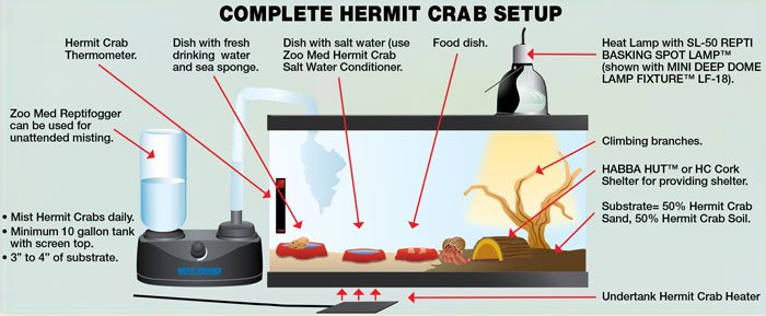 Zoomed Kit ReptiHabitat pour bernard l’hermite 20X10X12" - Hermit Crab Kit
