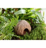 Exoterra EXO TERRA PT2876 Abri en forme de nois de coco