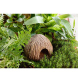 Exoterra EXO TERRA PT2876 Abri en forme de noix de coco