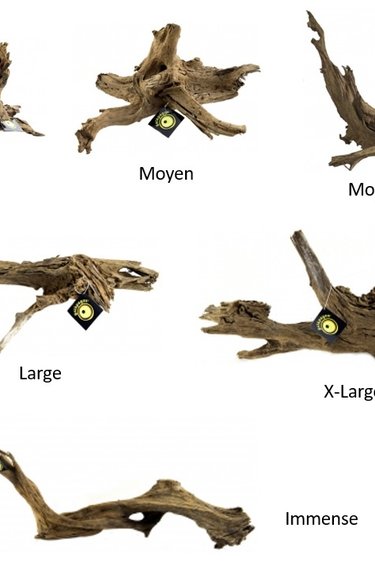 Galapagos GALAPAGOS GALAPAGOS Bois submersible en dérive