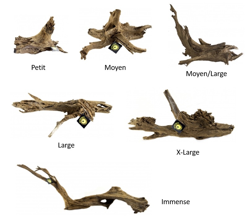 Galapagos GALAPAGOS GALAPAGOS Bois submersible en dérive