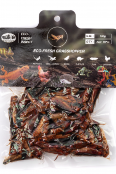 ProBugs Eco-Fresh Bulk Grasshoppers, 150g (90PCS)