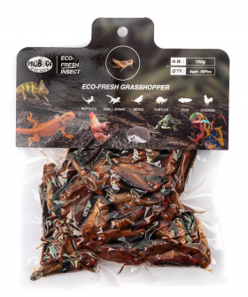 ProBugs  Eco-Fresh Bulk Grasshoppers, 150g (90PCS)