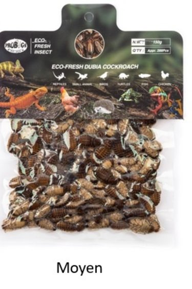 ProBugs PROBUGS Dubia 150gr