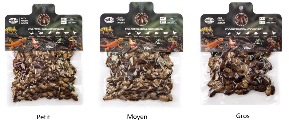 ProBugs PROBUGS Dubia 150gr