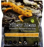 Galapagos Terrarium pillow moss