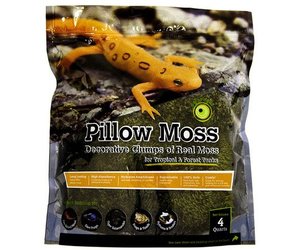 Galapagos Royal Pillow Moss 150 in