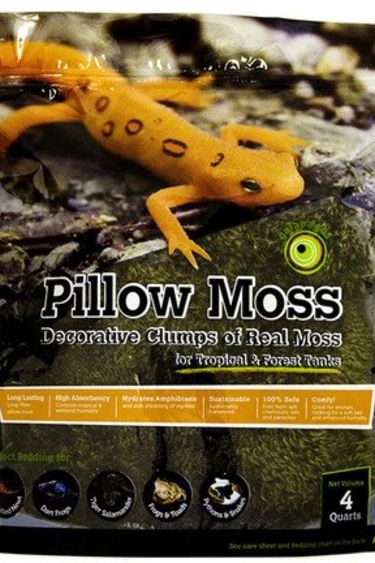 Galapagos Terrarium pillow moss