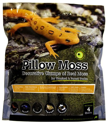 Galapagos Terrarium pillow moss