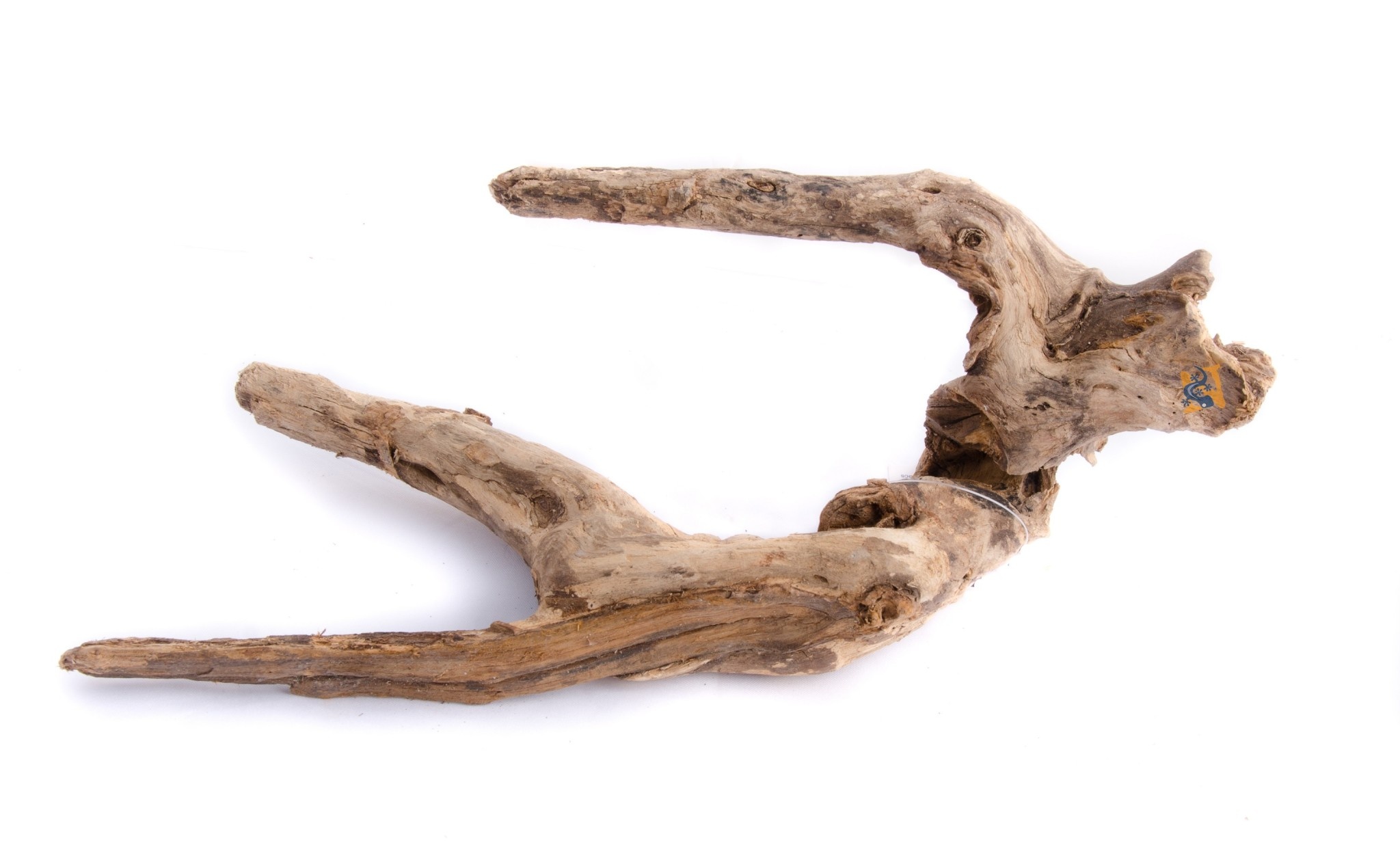 Aqua Globe AQUAGLOBE Bois noir